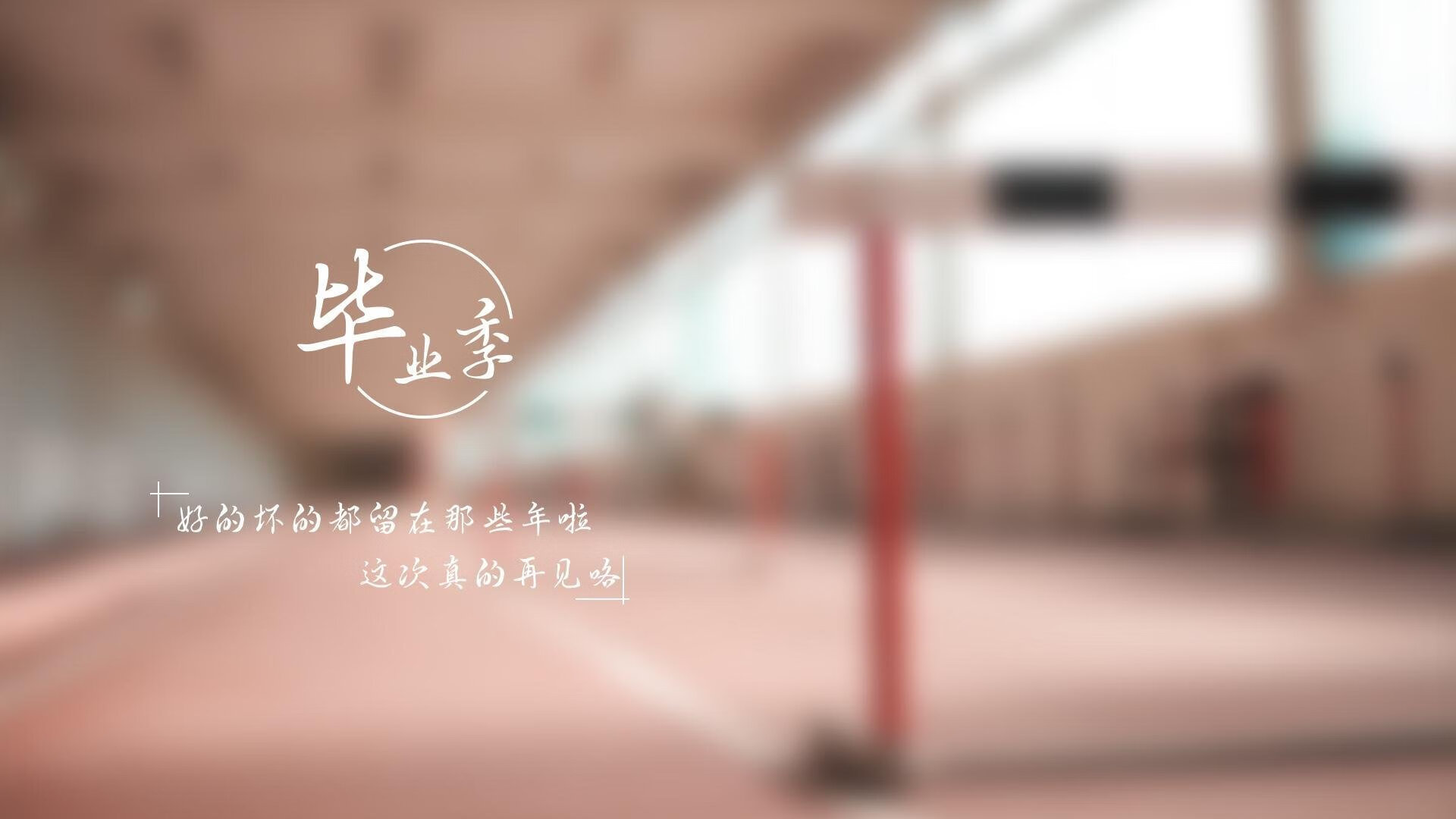 WRC驾驶技巧：从新手到高手的提升路径，wrc车手的车技有多高