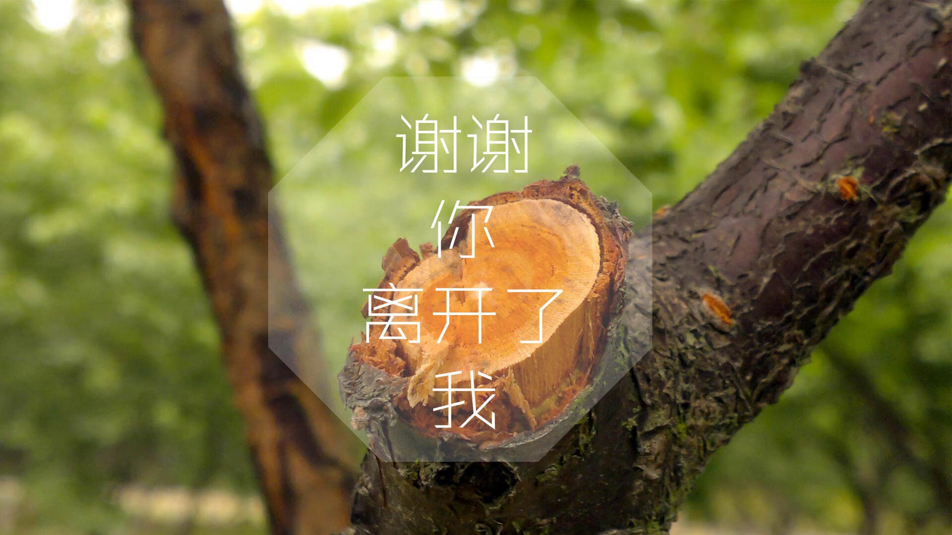“西甲焦点战：明星对决引爆全场热情”，西甲大牌球星