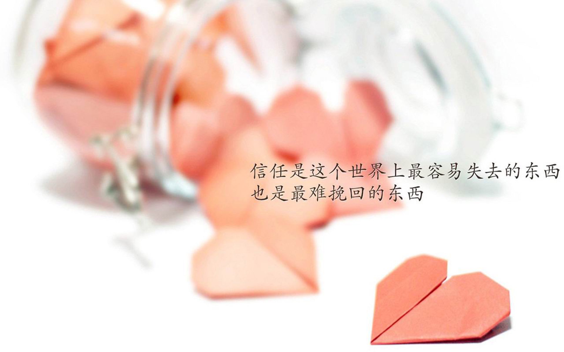 游泳世锦赛，泳坛健儿再续佳绩，游泳世锦赛个人金牌排名