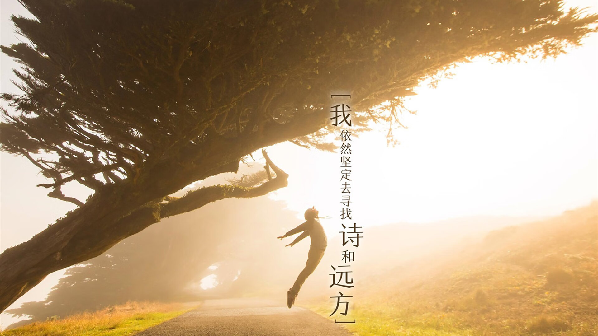 官方橄榄球战术板曝光，橄榄球战术手册