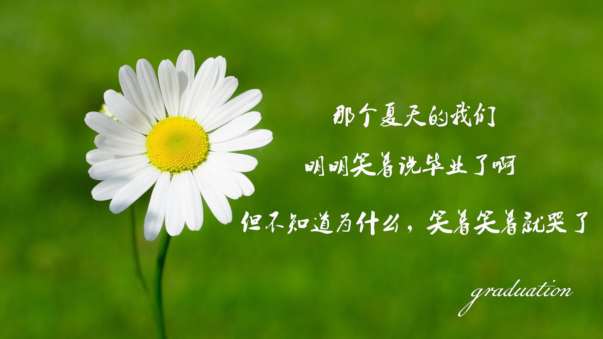 新加坡队赛制评析：通过赛制创新提升整体比赛表现，新加坡联赛什么水平