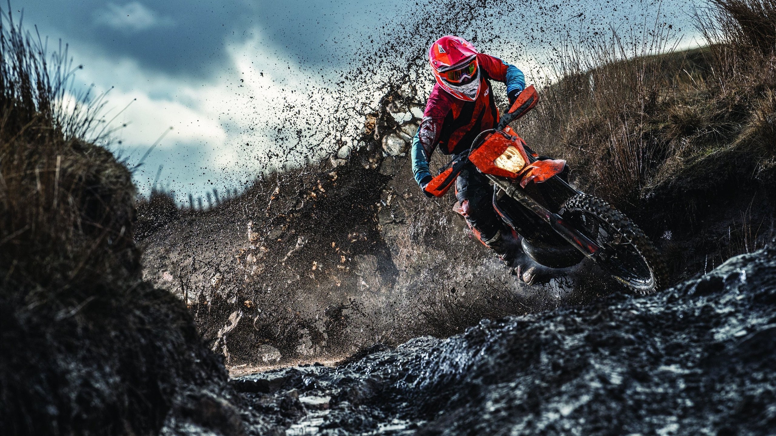 《菲律宾星报》称杭州亚运会开幕式为“高科技”“令人惊叹”的盛景。